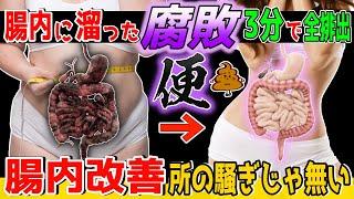 【腸内改善 69kg→53kg】座って3分セルフケア！宿便/脂肪便出してオナラ臭い・便秘・軟便・ガス溜まり・内臓脂肪・中性脂肪・肌荒れ・脊柱管狭窄症・坐骨神経痛・変形性股関節/膝関節症も解消し若返る