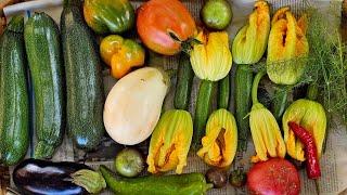 Влог крестьянки: Урожай Бессмертника, кабачки,тыквы,арбузы и  помидоры! Рецепт итальянского хлеба