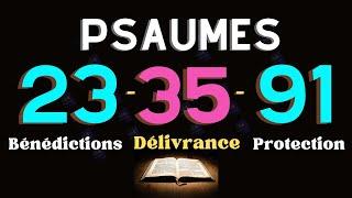 PSAUME 23- 35- 91 | Trois Prières Puissantes Pour Obtenir Abondance, Protection et Miracle Divin