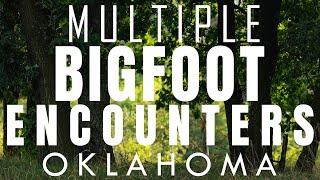 MULTIPLE BIGFOOT ENCOUNTERS FROM OKLAHOMA | THE CREATURE WAS SURPRISED TO SEE ME!!! #bigfoot