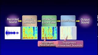 Microphone Array Technology for Suppression of Unwanted Sounds and Reverberation