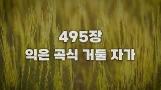 [새찬송가 495장] 익은 곡식 거둘 자가