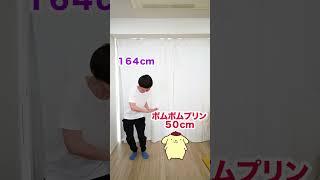 サンリオのキャラと身長比べてみたwww　funny video 　#shorts