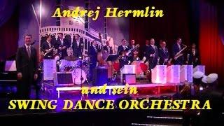Andrej Hermlin und sein Swing Dance Orchestra (2015)