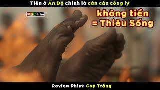 Công lý ở Ấn Độ chính là Tiền - review phim Cọp Trắng