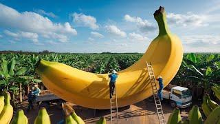 How Billions Of Bananas Are Harvested and Processed Using Modern Technology