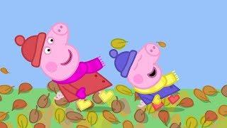 Świnka Peppa | Wietrzny Jesienny Dzien | Bajki Po Polsku | Peppa po Polsku