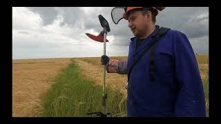 Косене и поливане на Бадемите. Скашивание и полив миндаля. Mowing and watering the almonds.