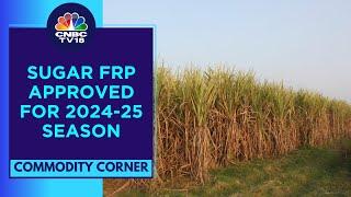 Cabinet Approves Sugar FRP For 2024-25 Season; Hikes FRP For Sugarcane To ₹340/quintal | CNBC TV18