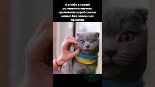 Вчимо українську #твіттер #україна