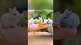 Tremella fuciformis Gum Makes the Bunny Start a "Puzzling Behavior Show"#shorts #pets #ai #cute