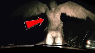 If These Strange Creatures Were Not Filmed, No One Would Have Believed it