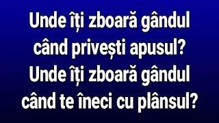 Liviu Teodorescu - Unde Iti Zboara Gandul? (Versuri/Lyrics)