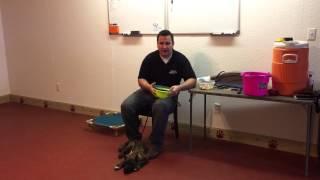 How to train a diabetic alert dog! Scent imprinting.