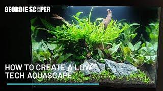 HOW TO/STEP BY STEP LOW TECH AQUASCAPE AT HORIZON AQUATICS