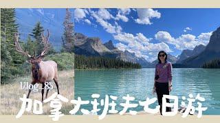 Vlog.85[4K] 加拿大卡尔加里+班夫+贾斯珀七天惊喜之旅｜行程攻略｜最美湖泊