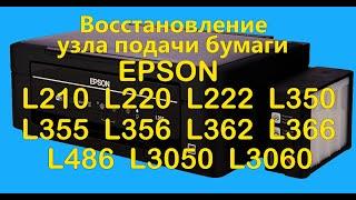 Принтер Epson L210, L220, L364, L486, L3060 не захватывает бумагу. Меняем ролики. Инструкция.