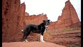 Hiking With Dogs: Fisher Towers Trail in Moab, Utah