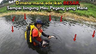 Dimana-mana ada ikan BESAR,cuman hanya dengan tangan kosong bisa dapat ikan banyak