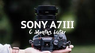 Sony A7iii - The good and the bad