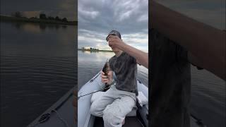 Кто еще не собрался на рыбалку? #врек #rec #fishing #shotrs #рыбалка #shortvideo #рекомендации