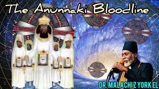 Dr. Malachi Z York EL- The Anunnaki Bloodline Pt.1