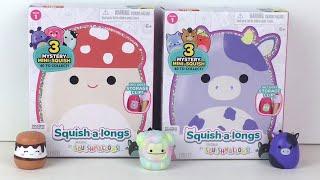 Squish-A-Longs Squishmallow Blind Box Mini Figures & Clip-A-Long Storage Clips  #squishmallows