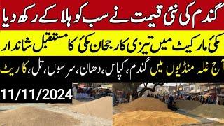 Today Wheat price in punjab//گندم کا ریٹ 2024/munji makki till sarso/Galla mandi rate today