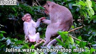 No asking milk! Naughty monkey Julina try hit and warn her baby Jasper stop follow milk