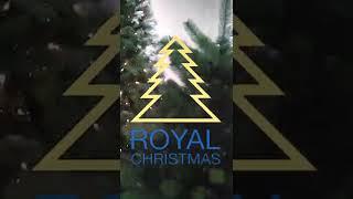 Royal Christmas - Decoration Set Artificial Christmas Tree - Blue