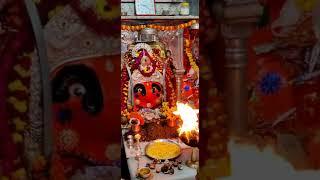 जय माता दी ️ || chamundamataajmer|| #ajmer #trending #4kstatus #live #viral #chamunda #aarti #4k