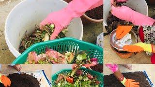 Kitchen waste ನಿಂದ compost ಮಾಡುವುದು ಹೇಗೆ?/Detailed video about composting