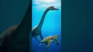 Plesiosaur & Green Sea Turtle #greenseaturtle #sauropterygia #plesiosaur #seaserpent #ocean