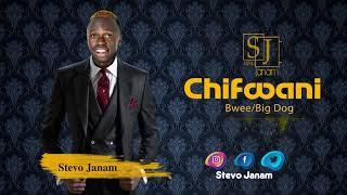 Stevo Janam - Chifwani (Audio)