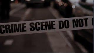 you're investigating the biggest crime scene in a century (a playlist)