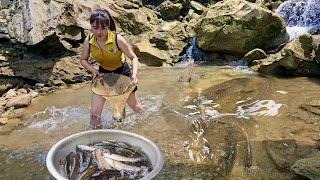 Catching fish, Surprised by the girl's method of catching fish using ant nests