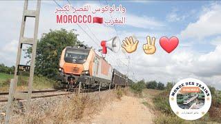 oncf en vitesse le train de transports des voitures marocains pour le chargement à l'usine  ️