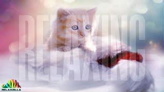Wonderful Relaxing Music For Stress Relief  Meditation  Relaxation  Study or Sleep