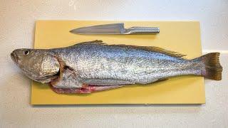 Filleting Jewfish (Mulloway)