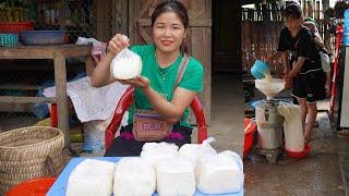 Soybeans and the traditional process of making tofu for sale - Cooking