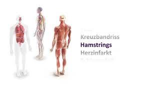 MediFacts - Hamstrings