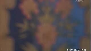 Orifxon Xotamov vafolaring