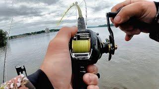 I Won MONEY CATFISHING!! (Twisted Cats Mississippi River)