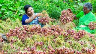 Life of Onion !!! Gongura Chicken | The Mud House