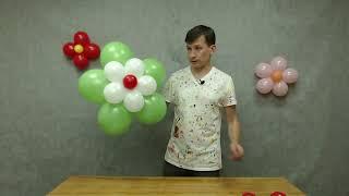 Цветок из шаров. Как сделать цветочек из круглых воздушных шариков своими руками