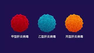 Differences between hepatitis A, B and C  - Mandarin