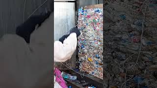 Waste plastic water bottles recycling machine | #shorts | #smallscaleindustries