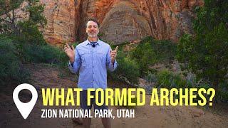 Zion's Arches Defy “Millions of Years” Theory! | Creation on Location