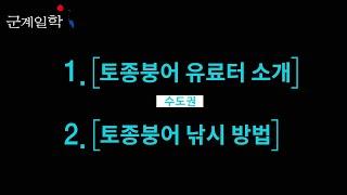 [양어장] 66.토종붕어 유료터 소개 및 낚시방법(65번 동영상에서 발췌)