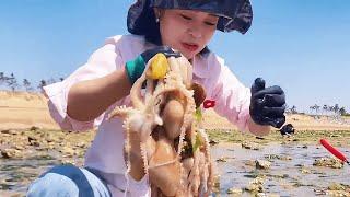 Xiao Zhang went to the sea and caught a large nest of octopuses!